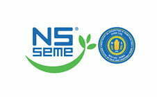 NS SEME logo